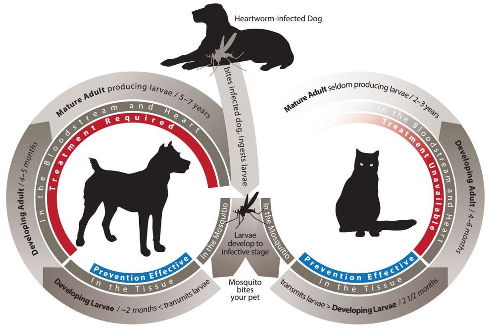 life-cycle-large life-cycle-large