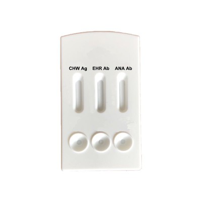 CHW Ag EHR Ab ANA Ab Combo 1.jpg CHW Ag EHR Ab ANA Ab Combo 1.jpg