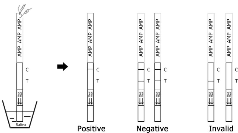 test steps test steps