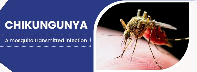 CHIKUNGUNYA CHIKUNGUNYA