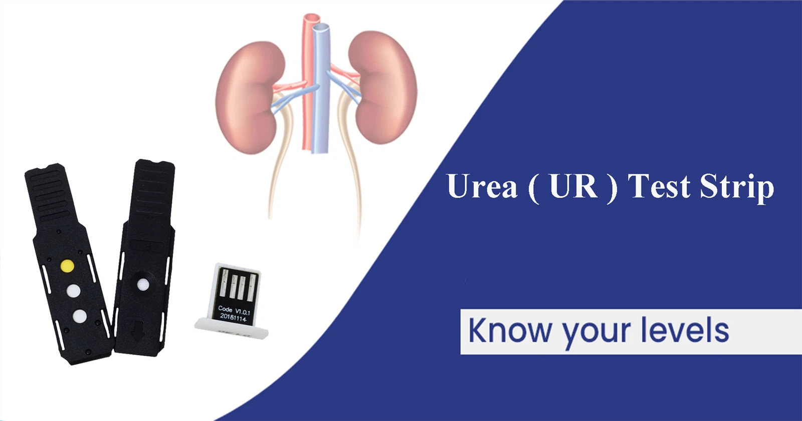 Blood-urea-nitrogen-BUN-test Blood-urea-nitrogen-BUN-test