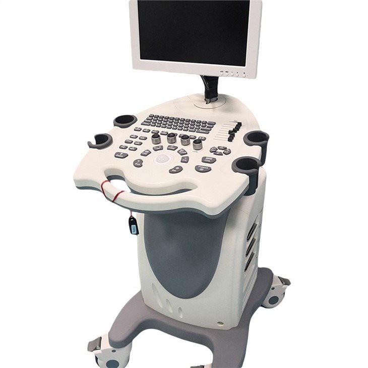 China Ultrasound Diagnostic System for Human supplier