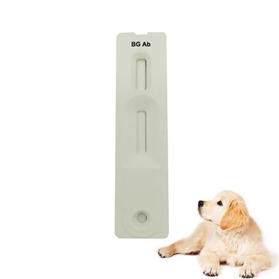 Babeis Gibsoni Antibody Rapid Test Device