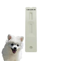 Canine Brucella Antibody Rapid Test
