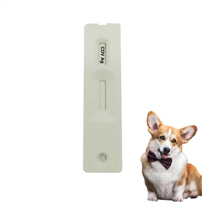 Canine Distemper Virus Antigen Rapid Test