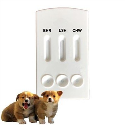 Canine Ehrlichia EHR Borrelia Burgdorferi Heartworm CHW Combo Rapid Test