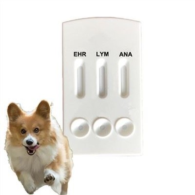 Canine EHR Lyme LYM Anaplasma ANA Combo Test Device