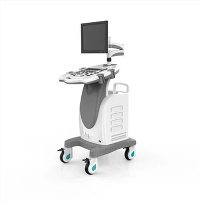 Diagnostic Ultrasound System
