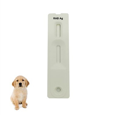 Rabies Virus Antigen Rapid Device