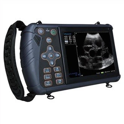 Veterinary Ultrasonic System