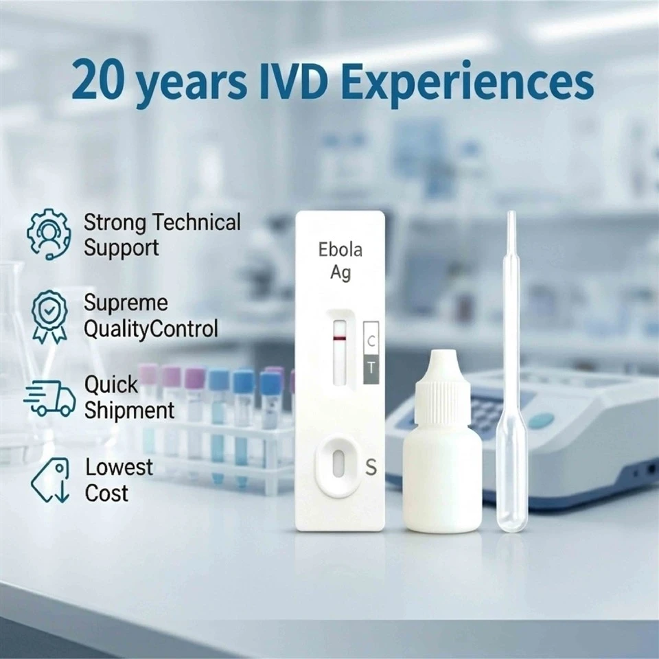 CE-Marked Ebola Virus Rapid Test Kit 15-Min Result Whole Blood Specimen Reliable Antigen Detection high quality
