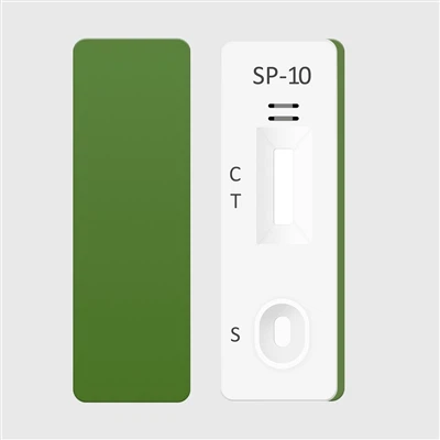 The Wait That Changed Everything