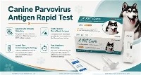 Canine Parvovirus Antigen Rapid Test: Fast Support For Puppy Health